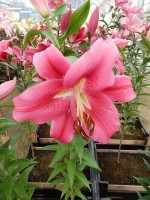 [4566 VH42 No02.JPG]